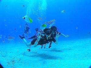 ダイビング風景
