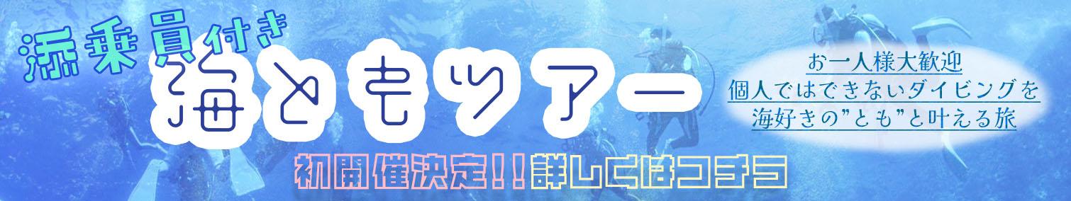 一人参加OK！添乗員付き募集型『海ともツアー』