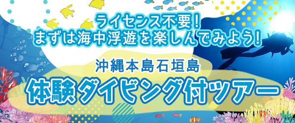 沖縄本島｜石垣島 体験ダイビング付ツアー！