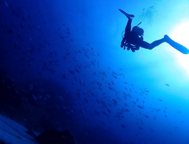 到着日ダイブ付きツアー