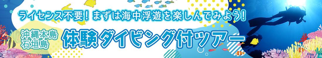 沖縄本島｜石垣島 体験ダイビング付ツアー！