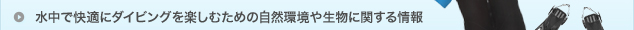 水中で快適にダイビングを楽しむための自然環境や生物に関する情報