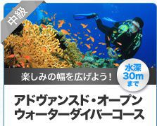 中級 楽しみの幅を広げよう！アドヴァンスド・オープン ウォーターダイバーコース