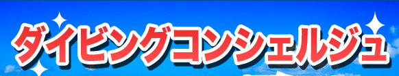 ダイビングコンシェルジュにご相談下さい！