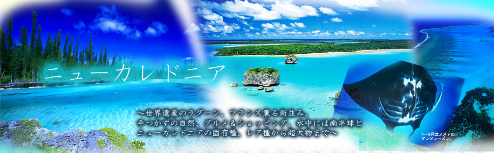 ～世界遺産のラグーン、フランス薫る街並み、手つかずの自然、グルメ＆ショッピング、水中には南半球とニューカレドニアの固有種、レア種から超大物まで～