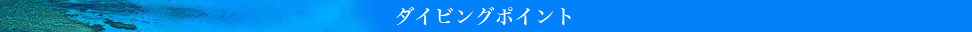 ダイビングポイント