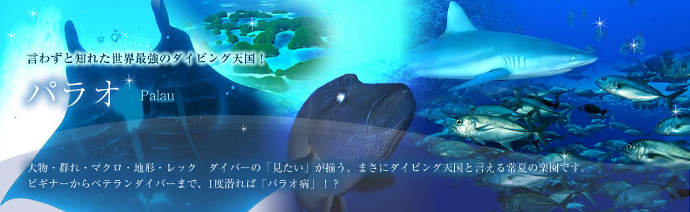 言わずと知れた世界最強のダイビング天国！「パラオ」大物・群れ・マクロ・地形・レック　ダイバーの「見たい」が揃う、まさにダイビング天国と言える常夏の楽園です。