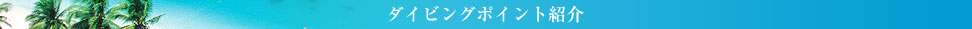 ダイビングポイント紹介